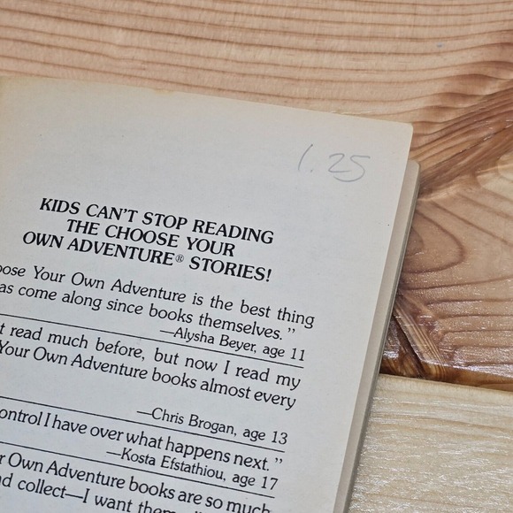 Vintage Choose Your Own Adventure #56 The Enchanted Kingdom‎ Ellen Kushner - Picture 6 of 9